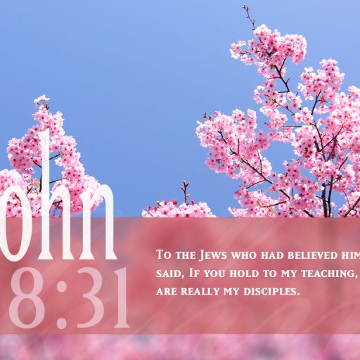 John-8-31