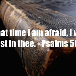 Psalms-56-3.jpg