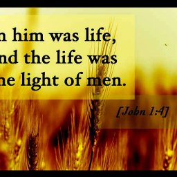 short-bible-verse.jpg