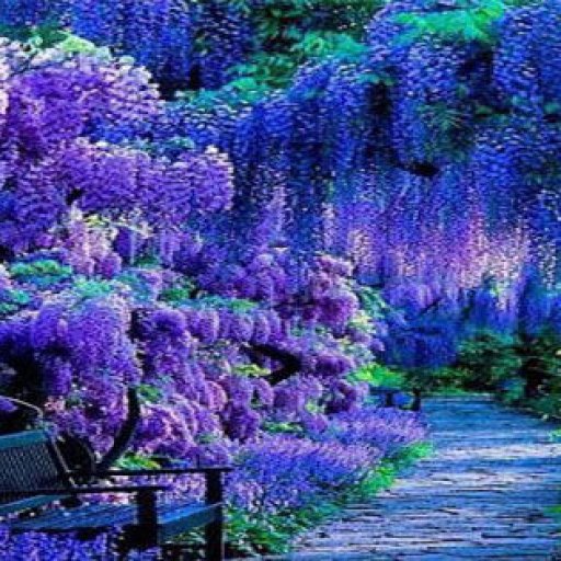 96f47807cbe8fb49b034f6f1a4200723