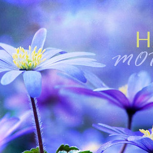 Happy-Mother&rsquo;s-Day-Covers