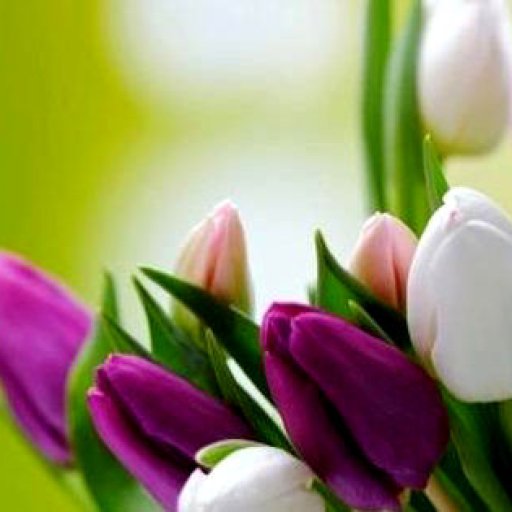 mother-day-1-fb-cover