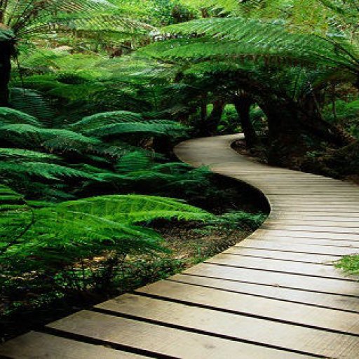 green-nature-facebook-covers