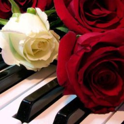 piano_roses.jpg