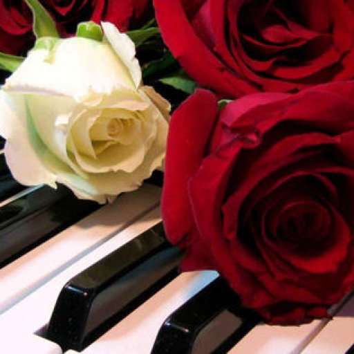 piano_roses