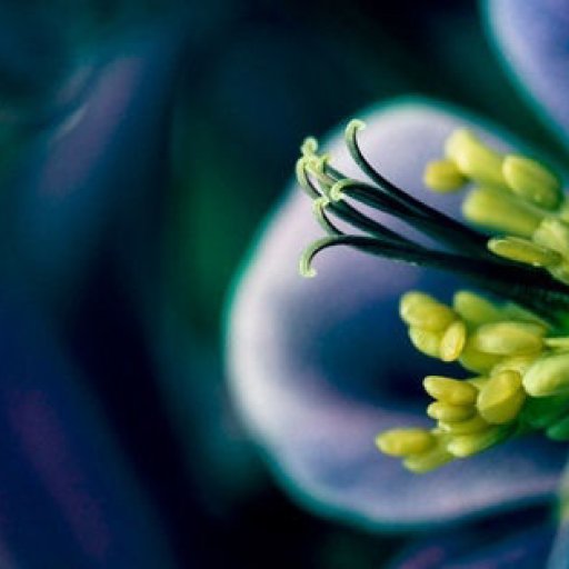 spring_time_2-851x315