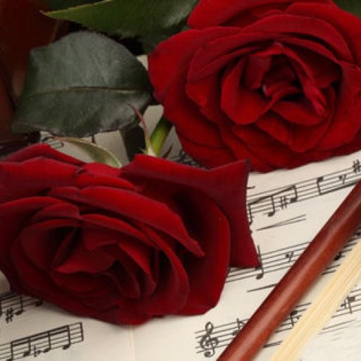 violin_red_roses