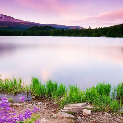 colorful-nature-facebook-cover