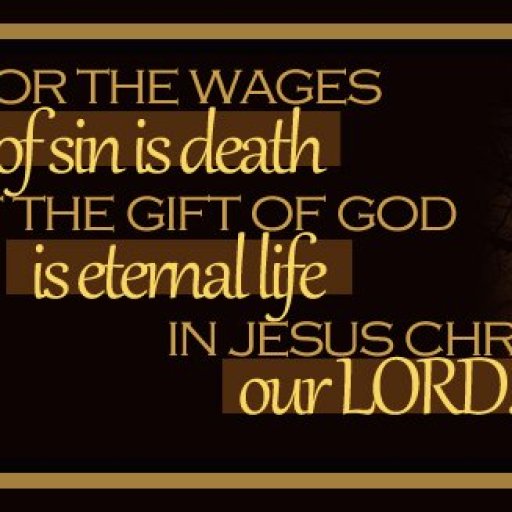 557959_540600869303823_488455612_n