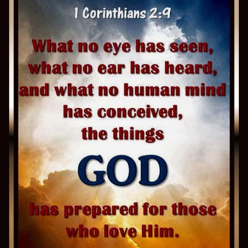 3194336_origEESWSASWSS