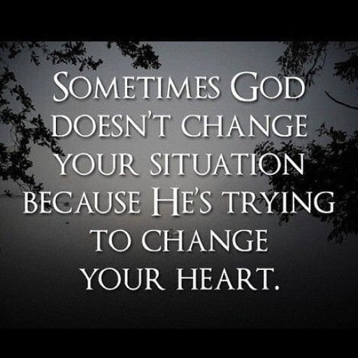 68b6860936f53b243a30efc23f09ccf9