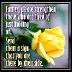 5b15bdc11af07a2887510a588b4db624