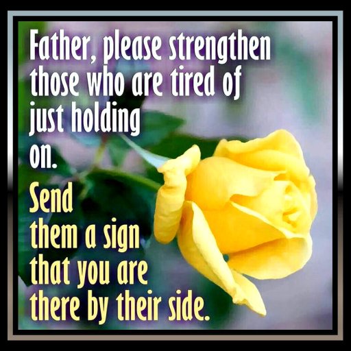 5b15bdc11af07a2887510a588b4db624