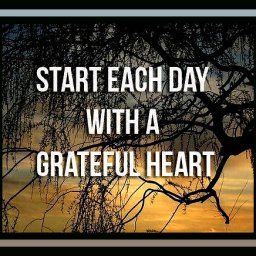 6e981be9948010304eb0ffa436f87a1c.jpg