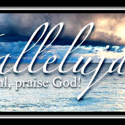 9bd230fadf599142b456a33e6aa44f78