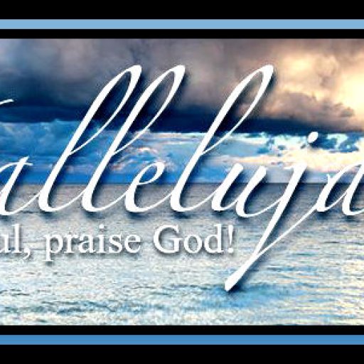 9bd230fadGf599142bG456a33e6aa44f78