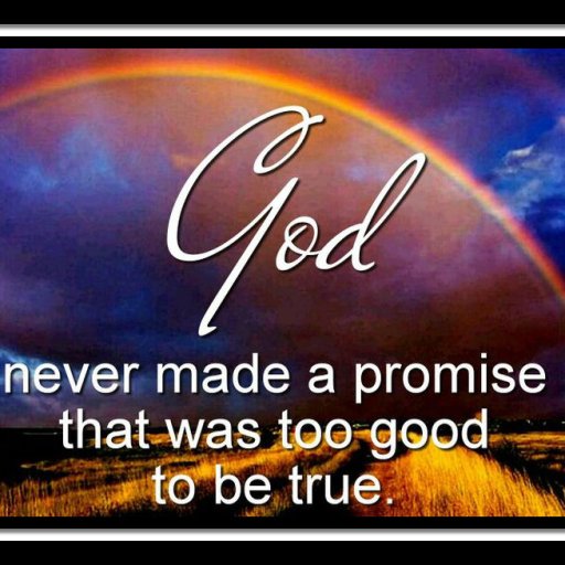 729f81d718a73ab4bac082521ecb0e3c