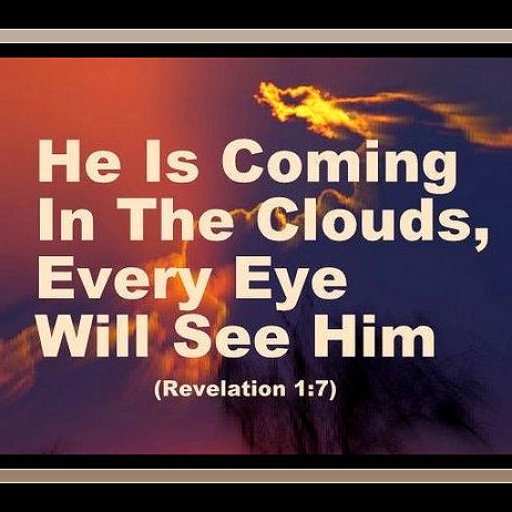 95245e77f1aVF6b93692fe334ded87fb47