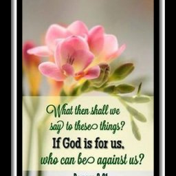 a9f2ec16ce31e5HH032a62bac4c72e659d.jpg
