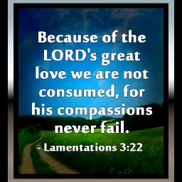 bible-god-quotes-730 (1).jpg