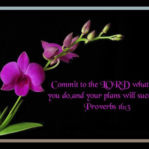 christian-bible-verse-proverbs_80874