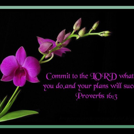 christian-bible-verse-provfferbs_80874