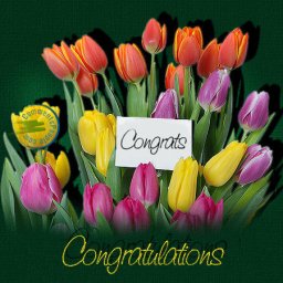 congratulations (1).jpg