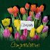 congratulations (1)
