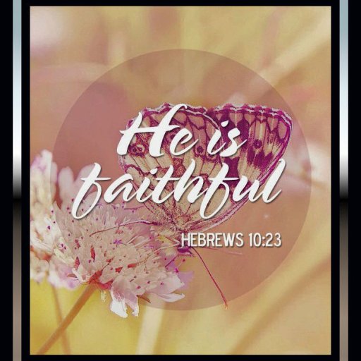 022bf0e6890f90004eceb4e194a679b0