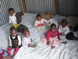 Wings Of Compassion organ