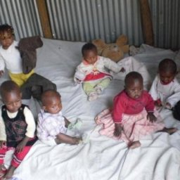 Wings Of Compassion organ