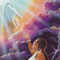 THE FELLOWSHIP OF LIGHT