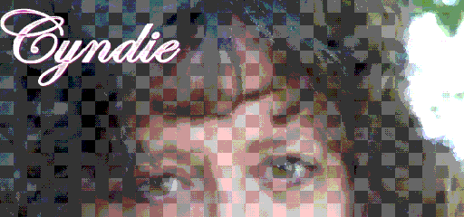 Cyndie Mace