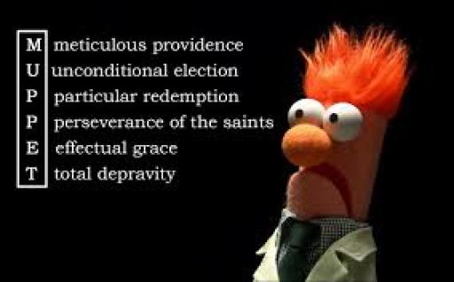 Arminian Zealot