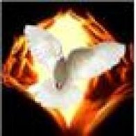 Spirit Alive Network