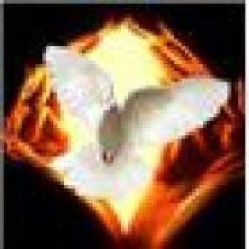 Spirit Alive Network