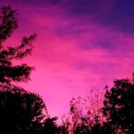 danielle Austin bell