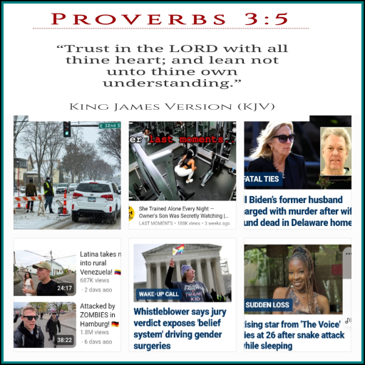 oie_VfbkF1cEVSMp 1.png