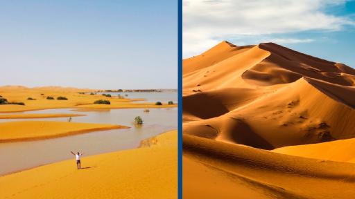 saharadesertflooding.jpg