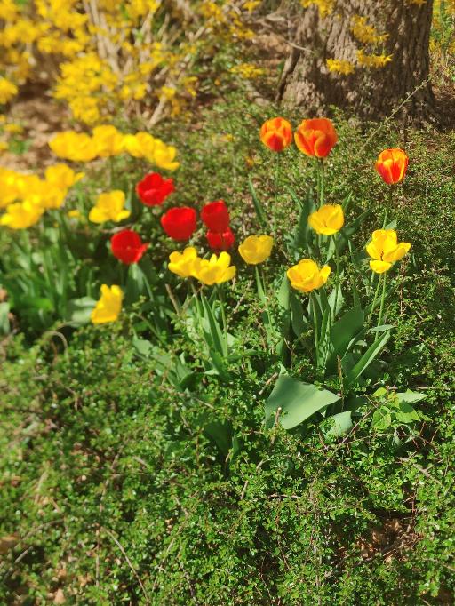 20220511_163511 1.jpg