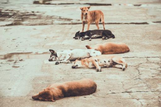 istockphoto695978820612x612 1.jpg