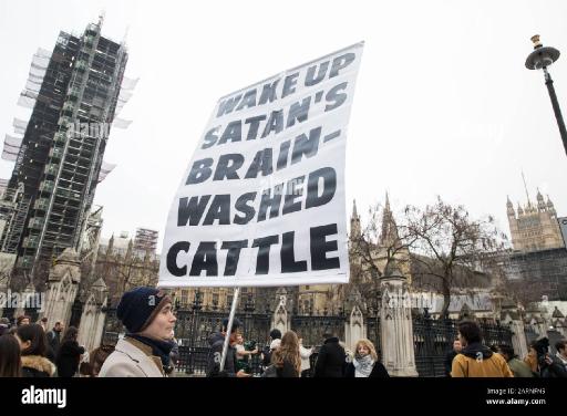 londonuk25january2020amanholdsasignbearingthetextwakeupsatansbrainwashedcattleonacornerofparliamentsquarecreditmark2ARNFN9.jpg