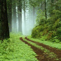 Me And My Lord, Jesus