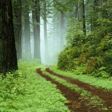 Me And My Lord, Jesus