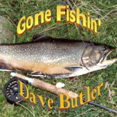 A Hammer, a Nail and a Rose