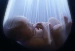 Can You Hear My Voice