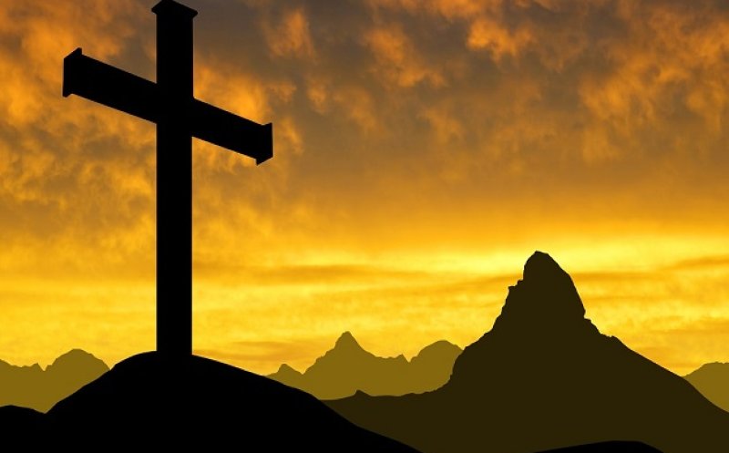 THE HIGHER THE MOUNTAIN