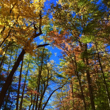 Reason For the Season