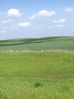 Brother To The Wind (A South Dakota Song)