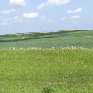 Brother To The Wind (A South Dakota Song)